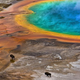 Imagen para el artículo titulado Las mejores fotografías no profesionales de naturaleza del año